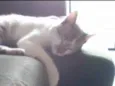 Luno