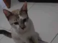 Luno