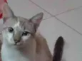 Luno