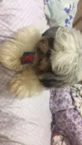 Marley