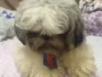 Marley