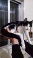 MEL E FRAJOLA