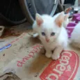 John