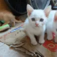 Donny