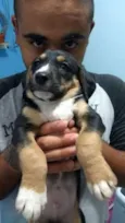 Cláudio (URGENTE)