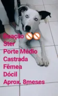 Dalila