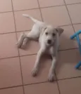 Nina