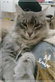 Charlie