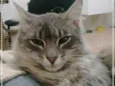 Charlie