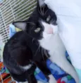 Julio