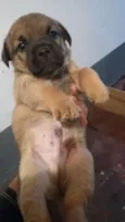 Indefinido