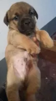Indefinido