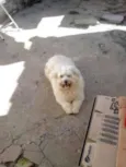Billy