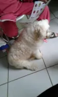 Billy