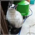 Princesa e Principe