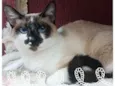 Princesa e Principe