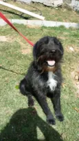 ASTOR