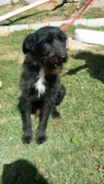 ASTOR