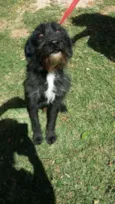 ASTOR