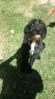 ASTOR