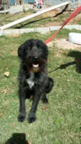 ASTOR