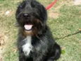 ASTOR