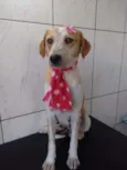 Lola