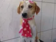 Lola