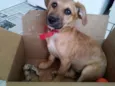 Nina