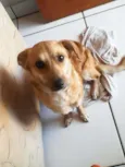 Nina