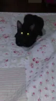 Preta
