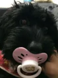 Jordan e Lola