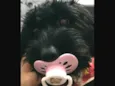 Jordan e Lola