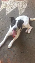 ZAK