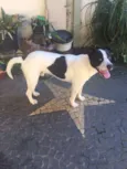 ZAK