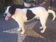 ZAK