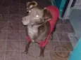 Minnie