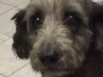 TECA