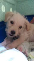 Freddie