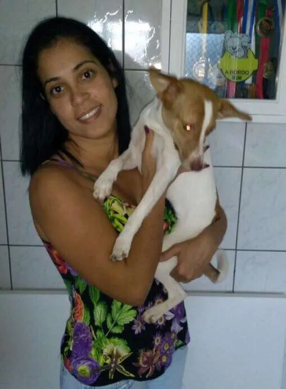 Cachorro ra a SRD idade 1 ano nome Kiara