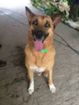 Bob