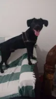 Athos