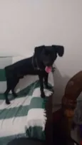 Athos
