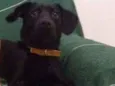 Athos