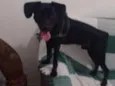 Athos