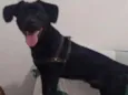 Athos