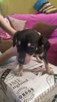 Não tem 