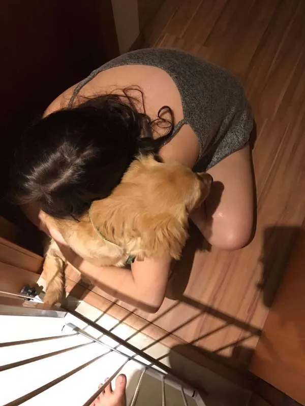 Cachorro ra a Golden Retriver idade 2 a 6 meses nome Paçoca