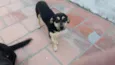 Carlos