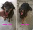 Jurema e Nina